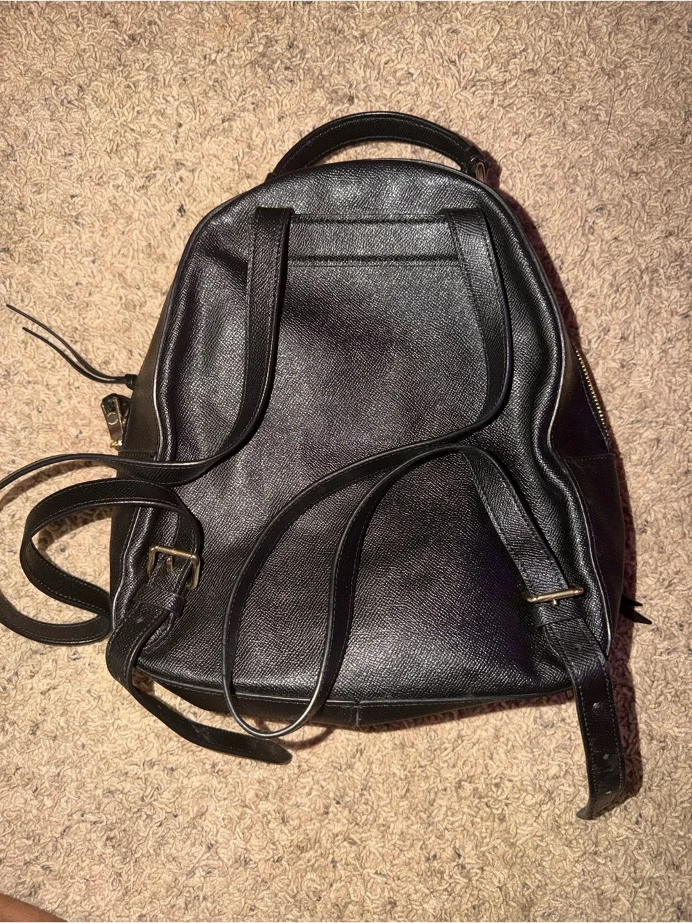 Coach sleek black